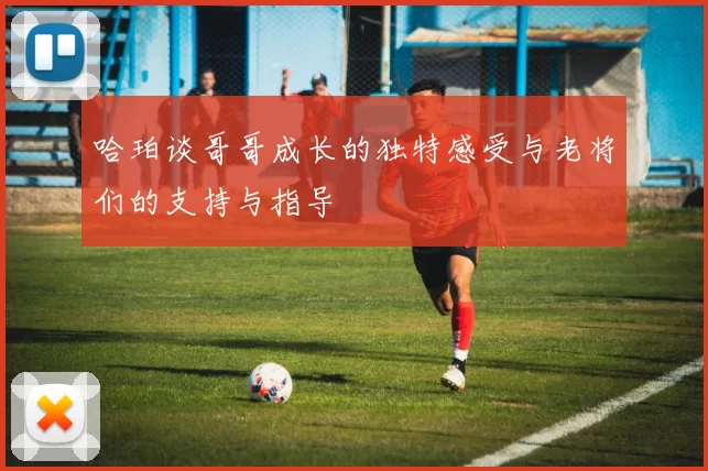 哈珀谈哥哥成长的独特感受与老将们的支持与指导