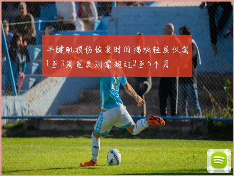 半腱肌损伤恢复时间揭秘轻度仅需1至3周重度则需超过2至6个月